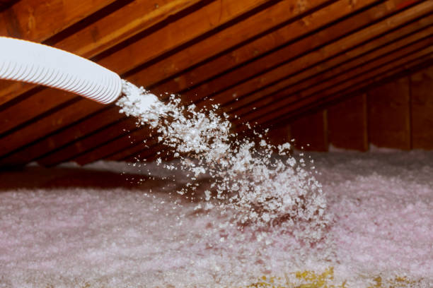 Professional Insulation Contractor in Lake Barrington, IL