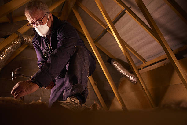 Best Residential Insulation in Lake Barrington, IL